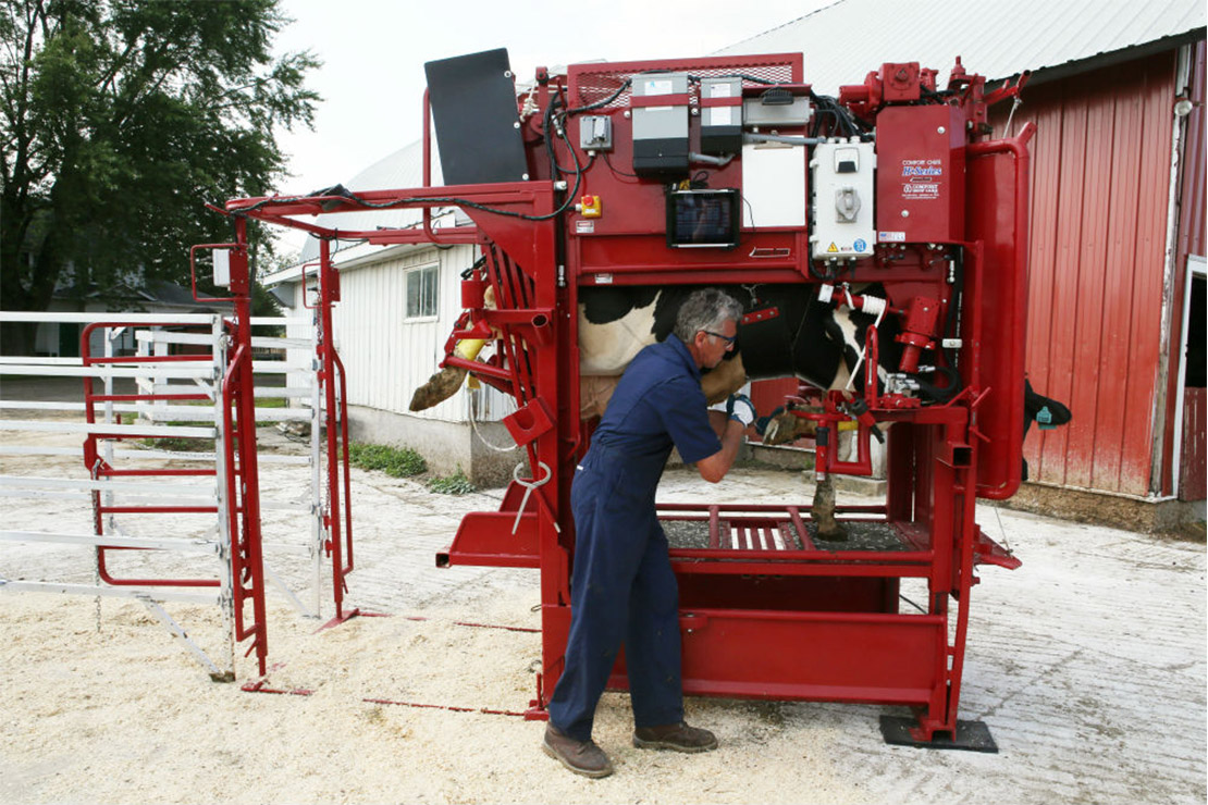 H Series Comfort Hoof Care